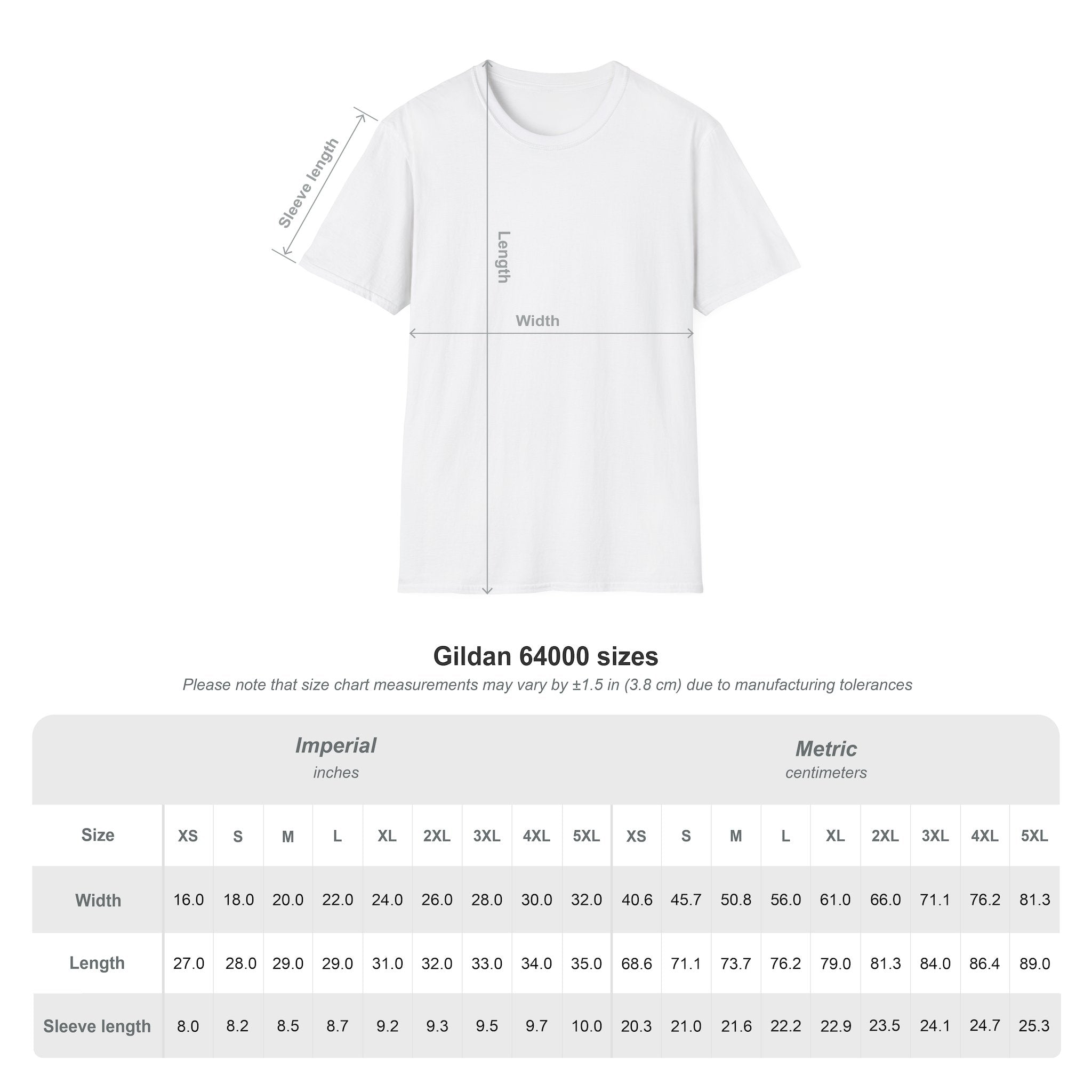 Spiritual Graphic T-Shirt — "Everything I Need Already Lives Within Me" - Awaken Within Apparel