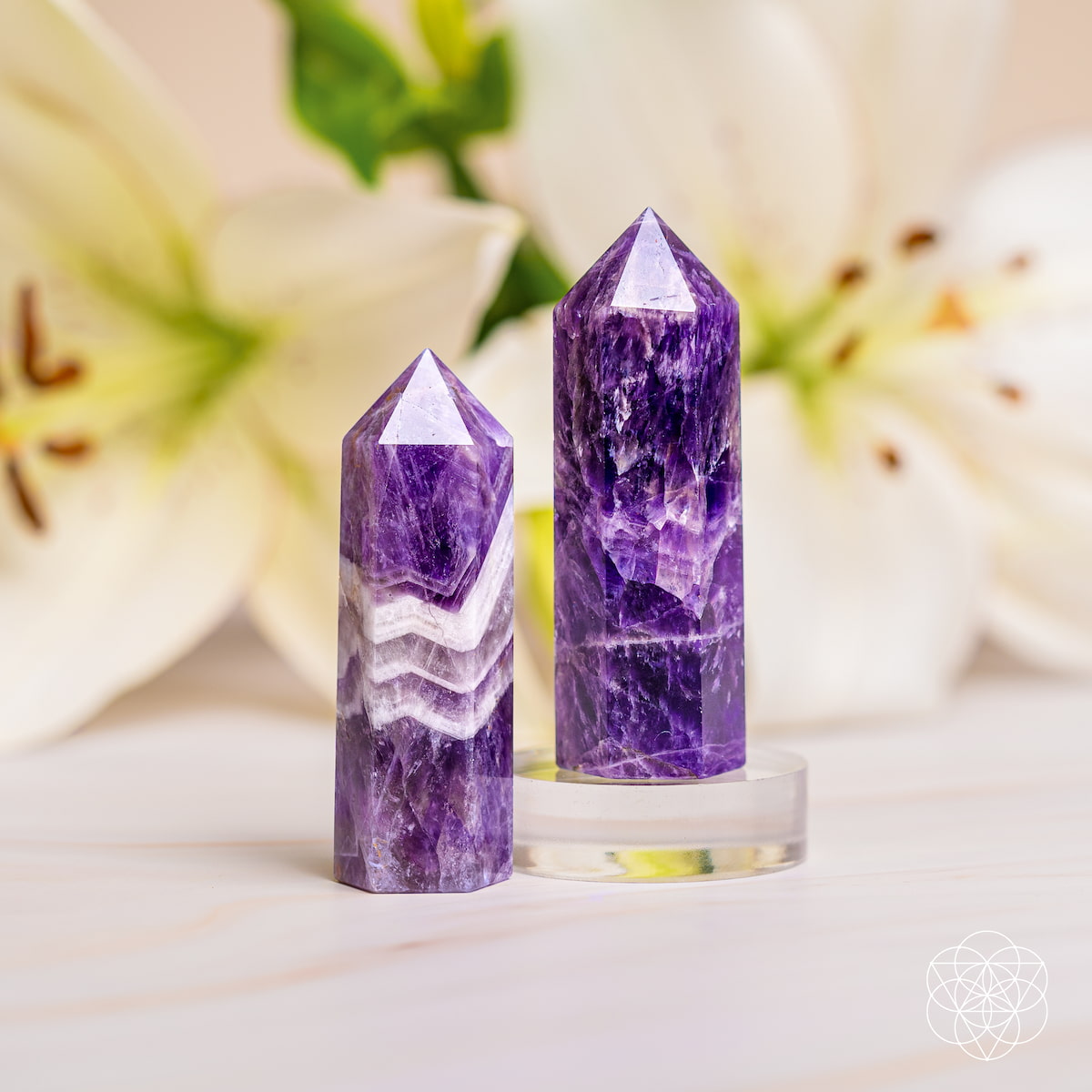 Cycle Breaker - Chevron Amethyst Point