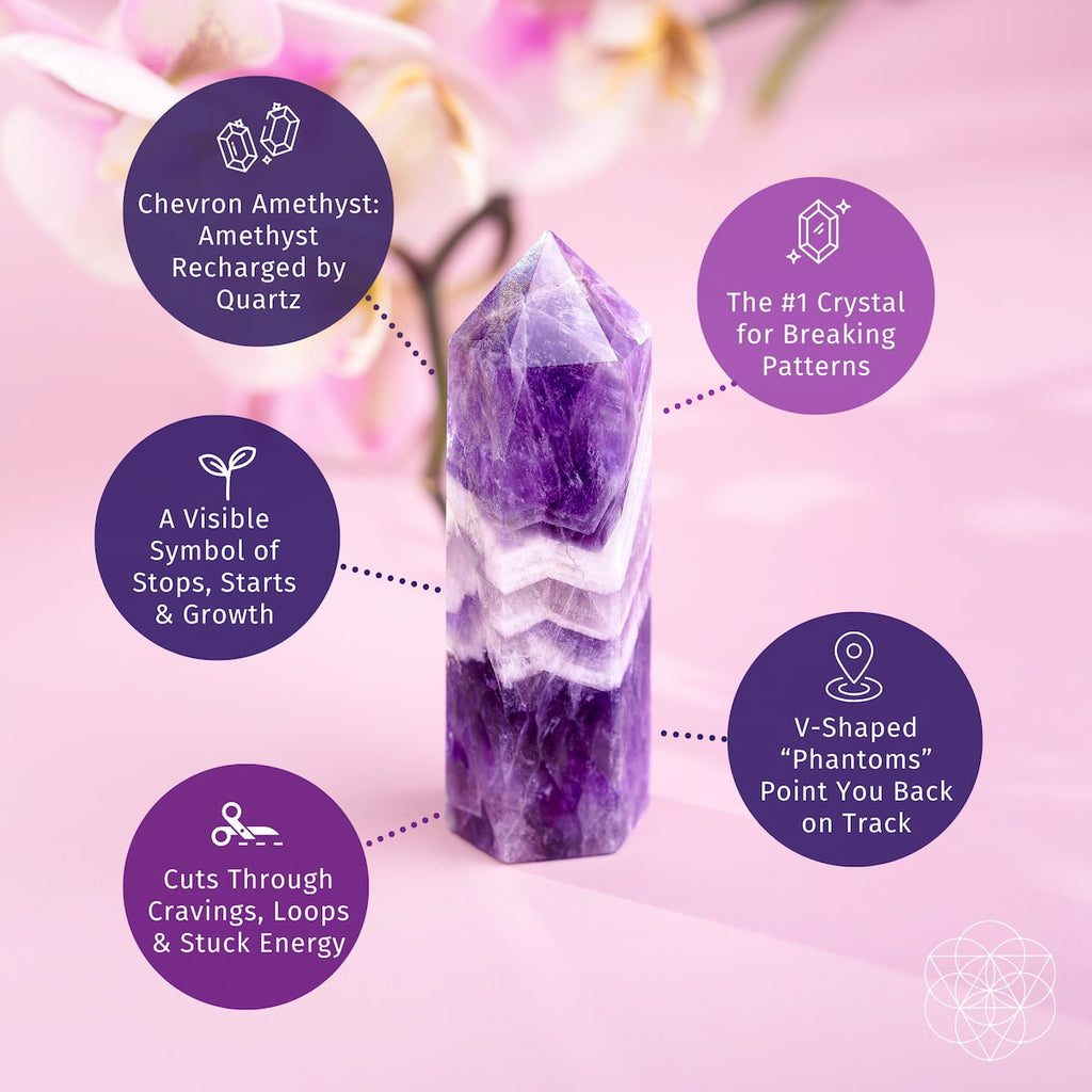 Cycle Breaker - Chevron Amethyst Point