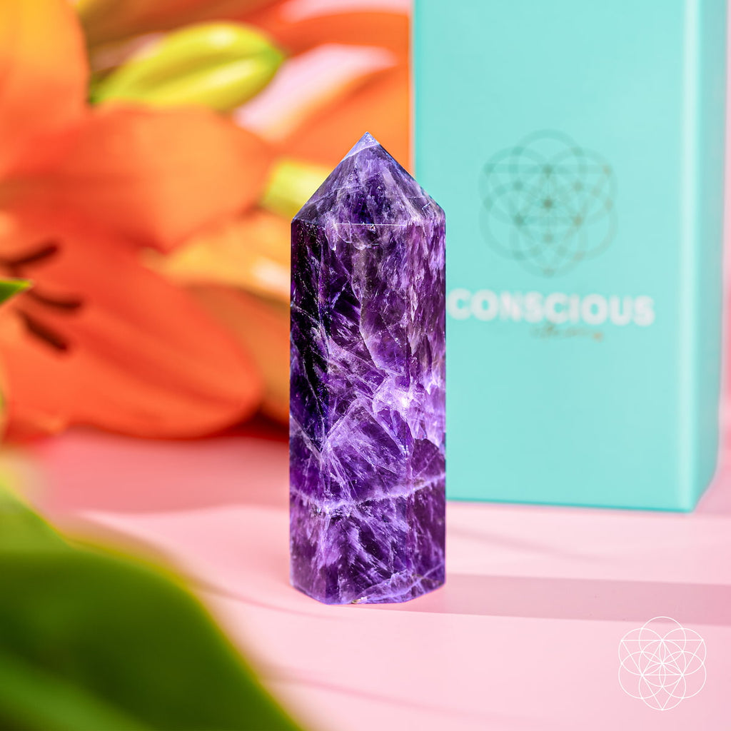 Cycle Breaker - Chevron Amethyst Point