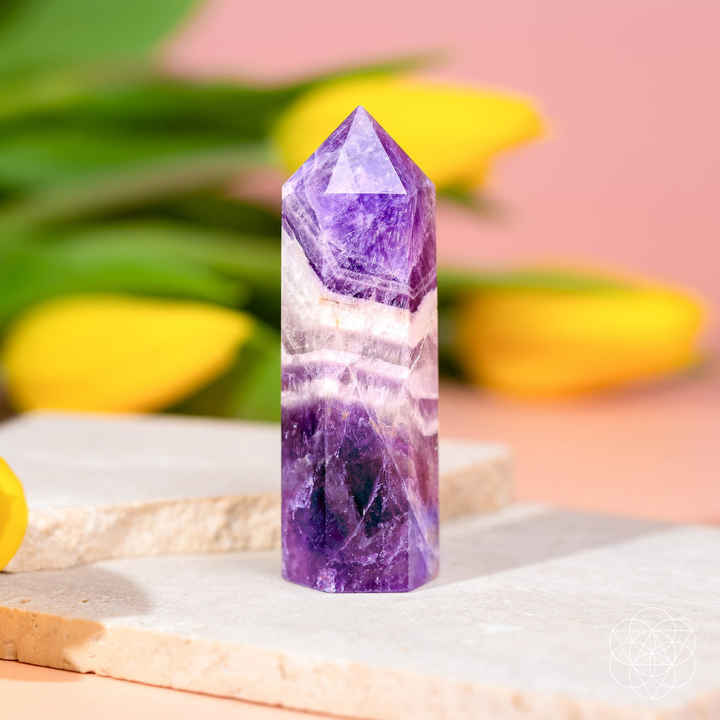 Cycle Breaker - Chevron Amethyst Point