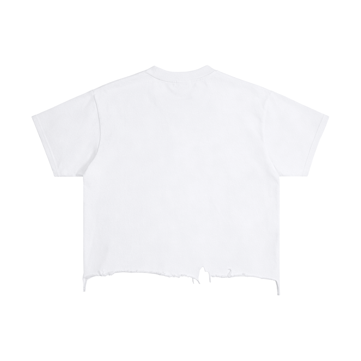 Awaken Within Apparel Sacred Logo- Vintage Wash Boxy Distressed Hem T-Shirt
